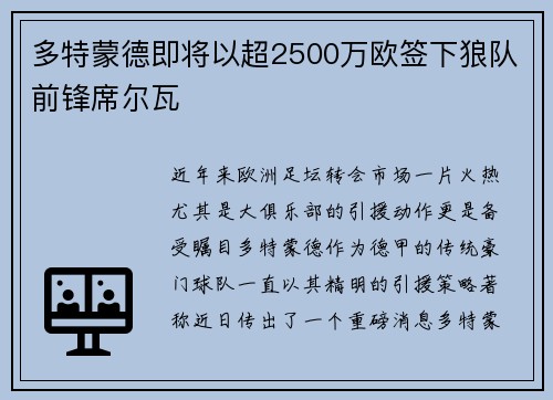 多特蒙德即将以超2500万欧签下狼队前锋席尔瓦