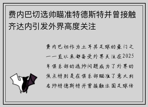 费内巴切选帅瞄准特德斯特并曾接触齐达内引发外界高度关注 费内巴切选帅瞄准特德斯特并曾接触齐达内引发外界高度关注